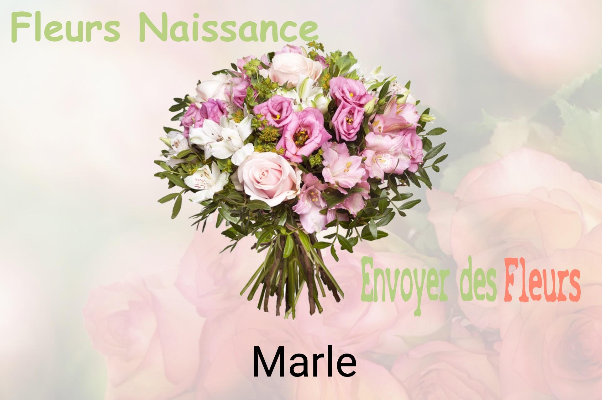 Bouquet de fleurs de naissance livré à Marle